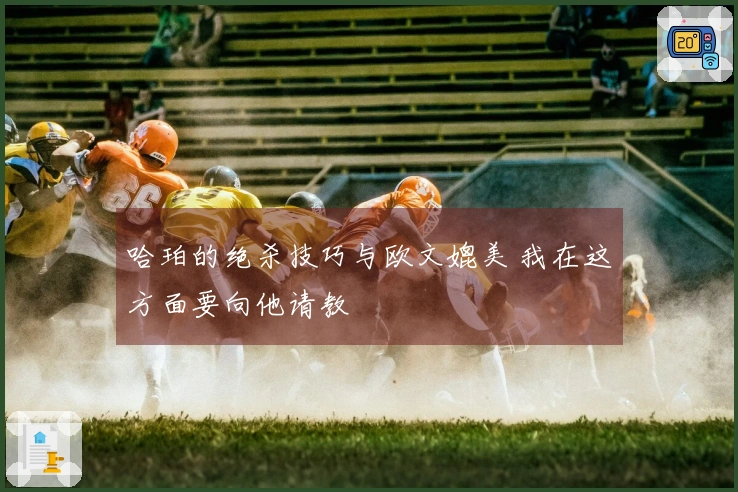 哈珀的绝杀技巧与欧文媲美 我在这方面要向他请教